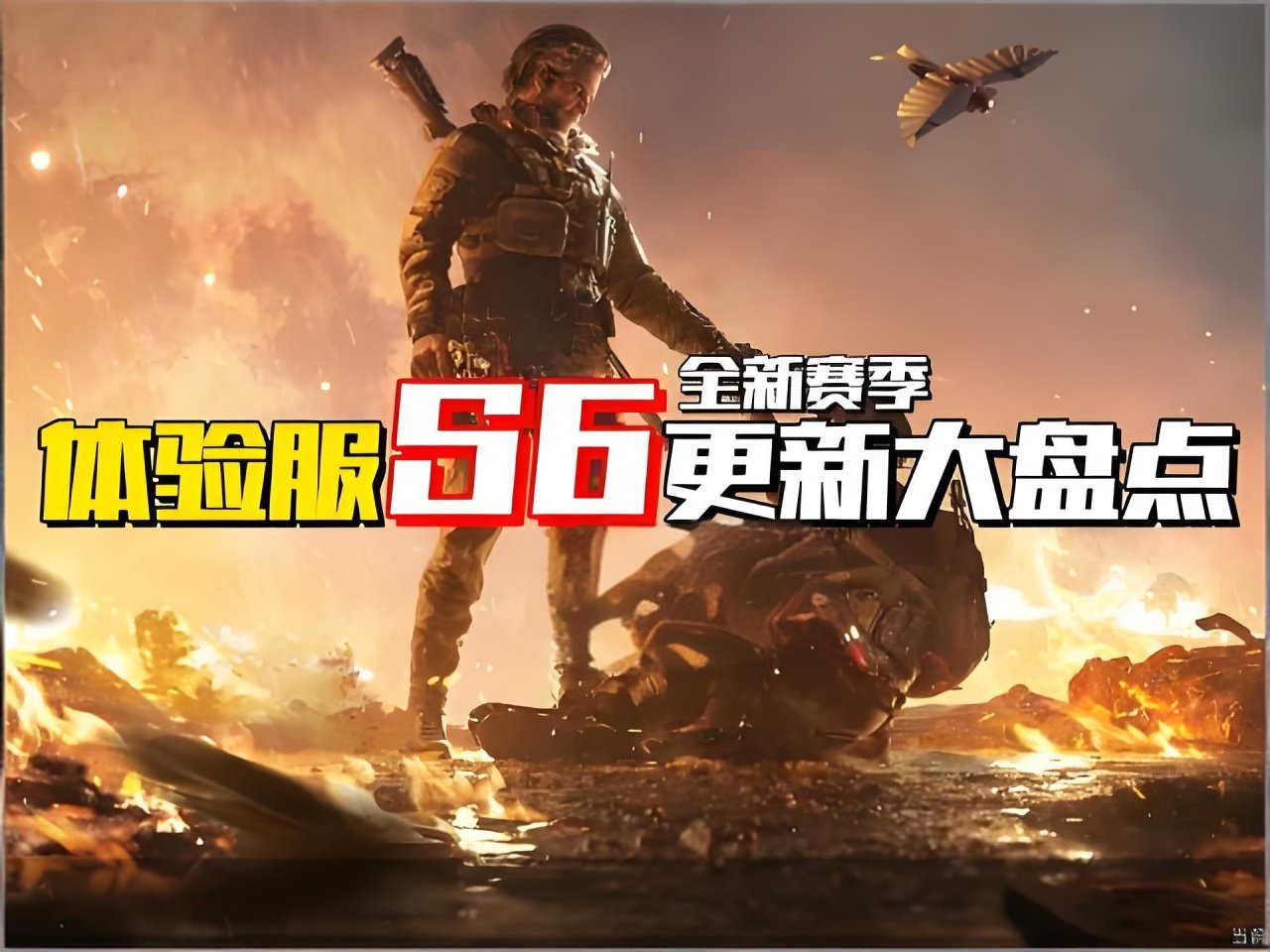 edito, 新S, 通过自身装